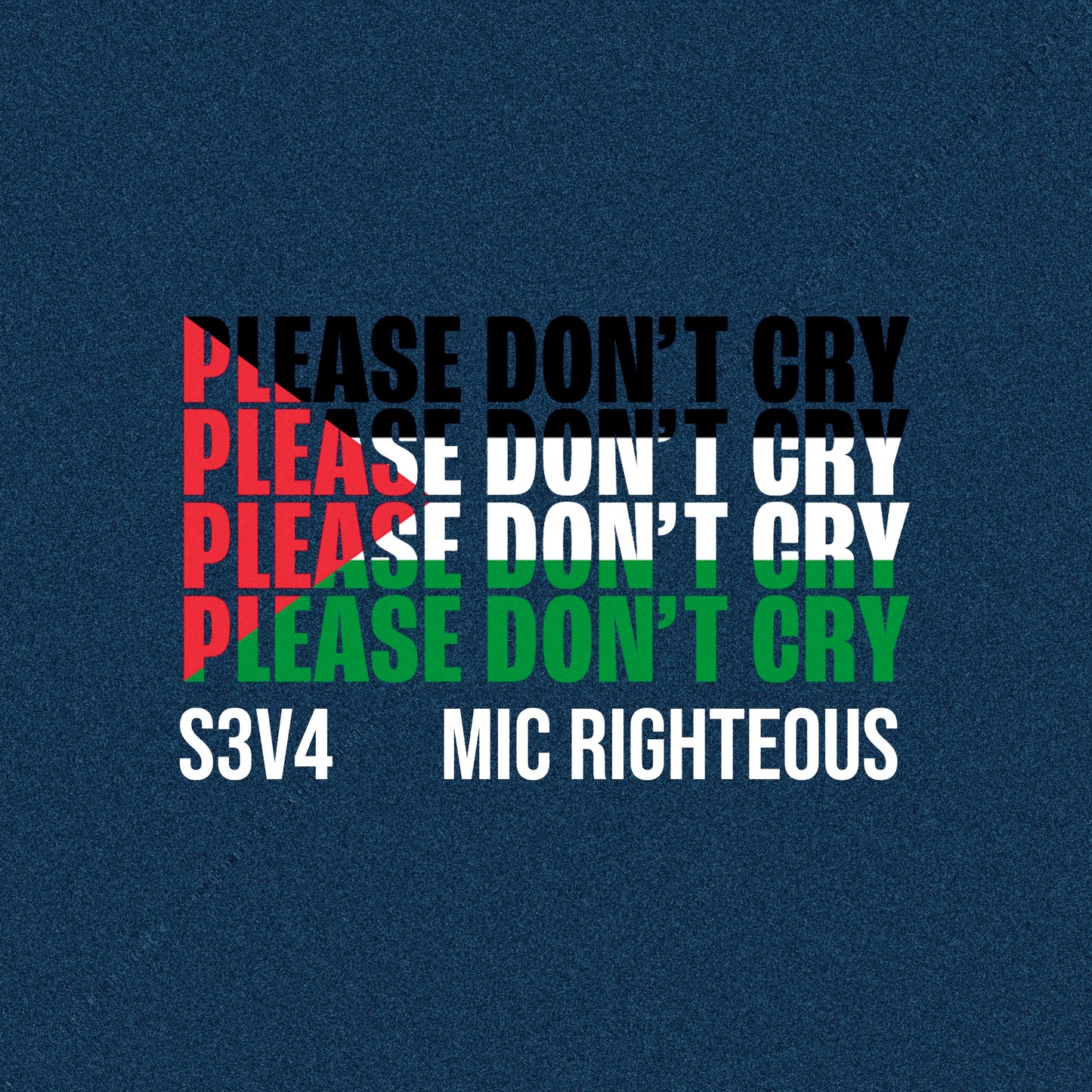Please Don’t Cry (Featuring. Mic Righteous)